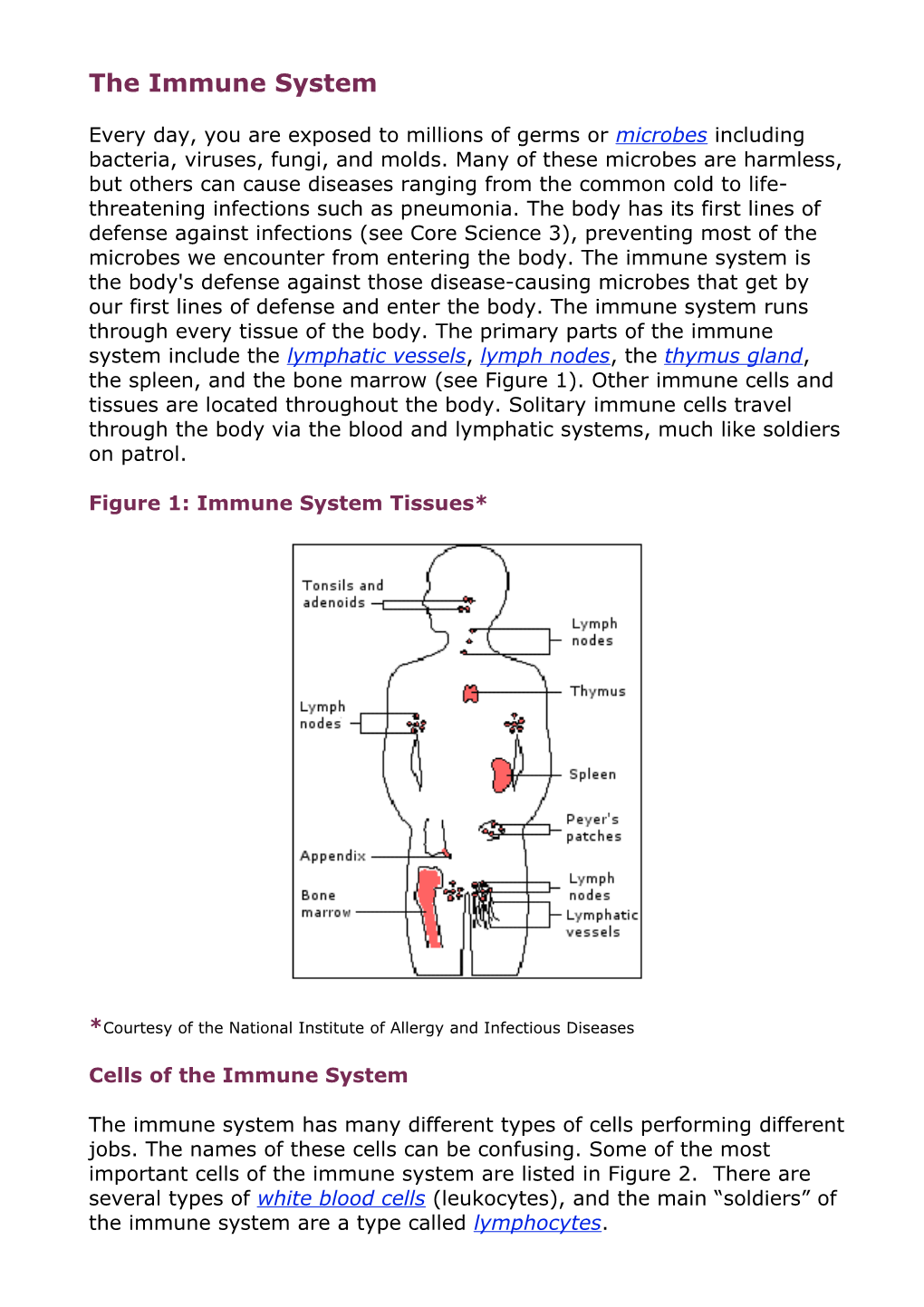 Figure 1: Immune System Tissues*