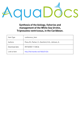 Synthesis of the Biology, Fisheries and Management of the White Sea Urchin, Tripneustes Ventricosus, in the Caribbean