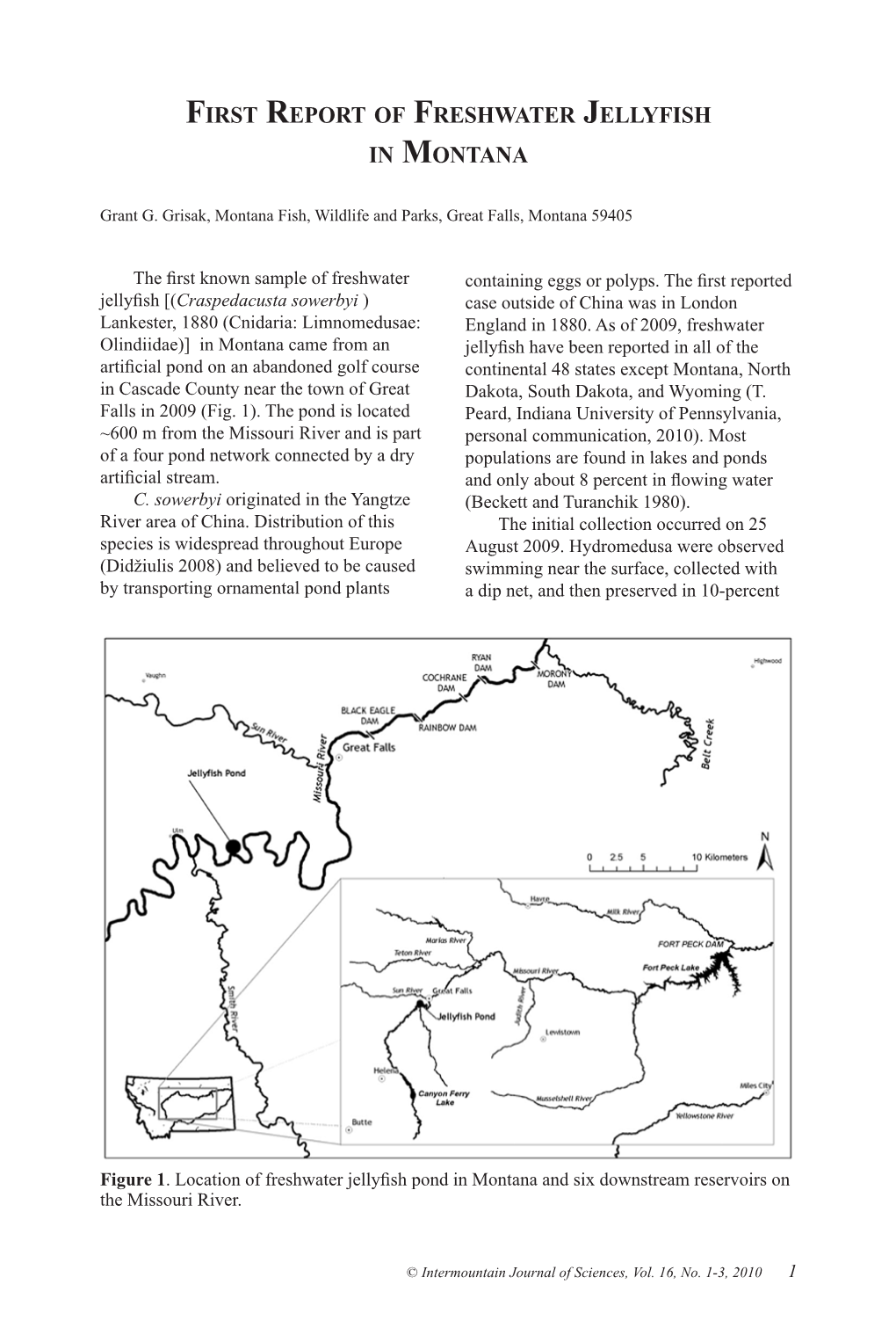 First Report of Freshwater Jellyfish in Montana