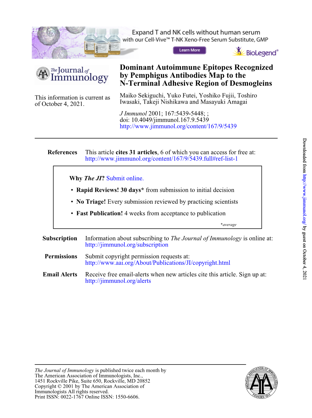 N-Terminal Adhesive Region of Desmogleins by Pemphigus