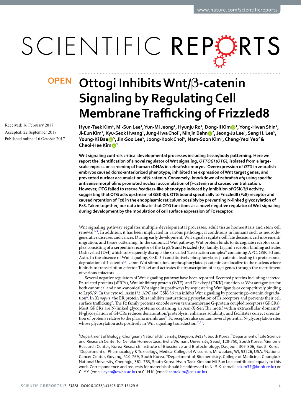 Ottogi Inhibits Wnt/Β-Catenin Signaling by Regulating Cell Membrane