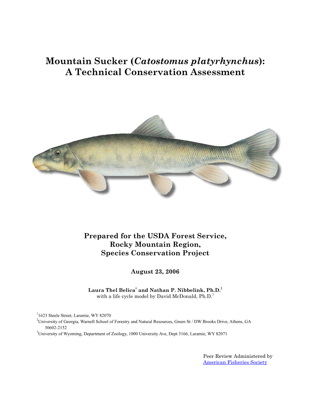 Mountain Sucker (Catostomus Platyrhynchus): a Technical Conservation Assessment