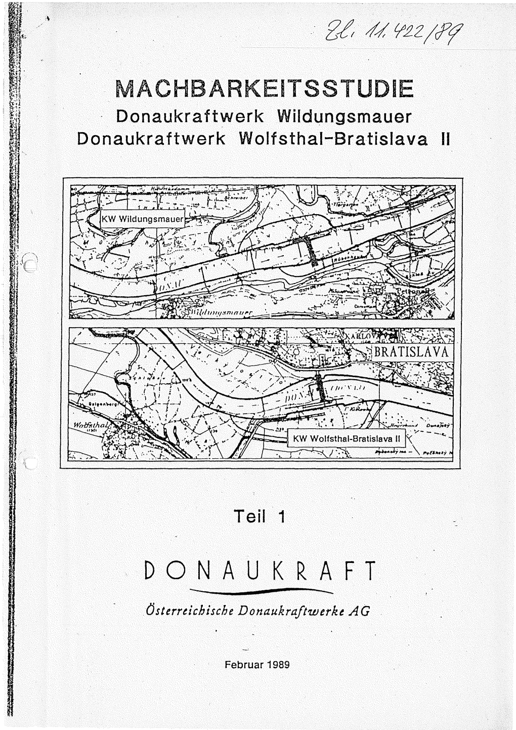 Machbarkeitsstudie Donaukraftwerk Wildungsmauer, Donaukraftwerk