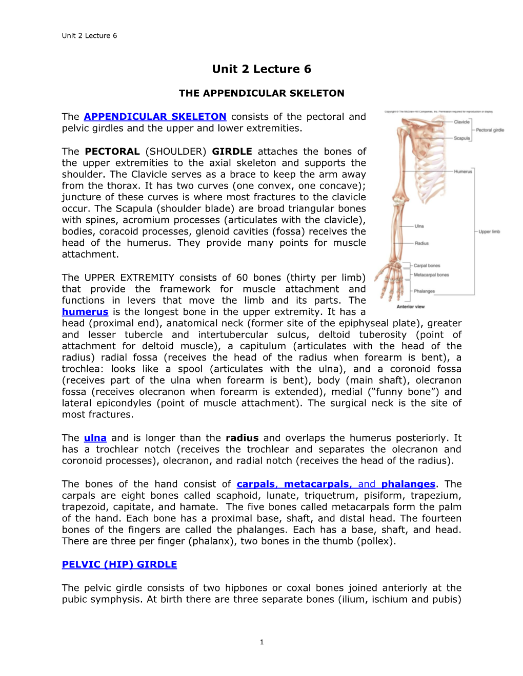 The Appendicular Skeleton