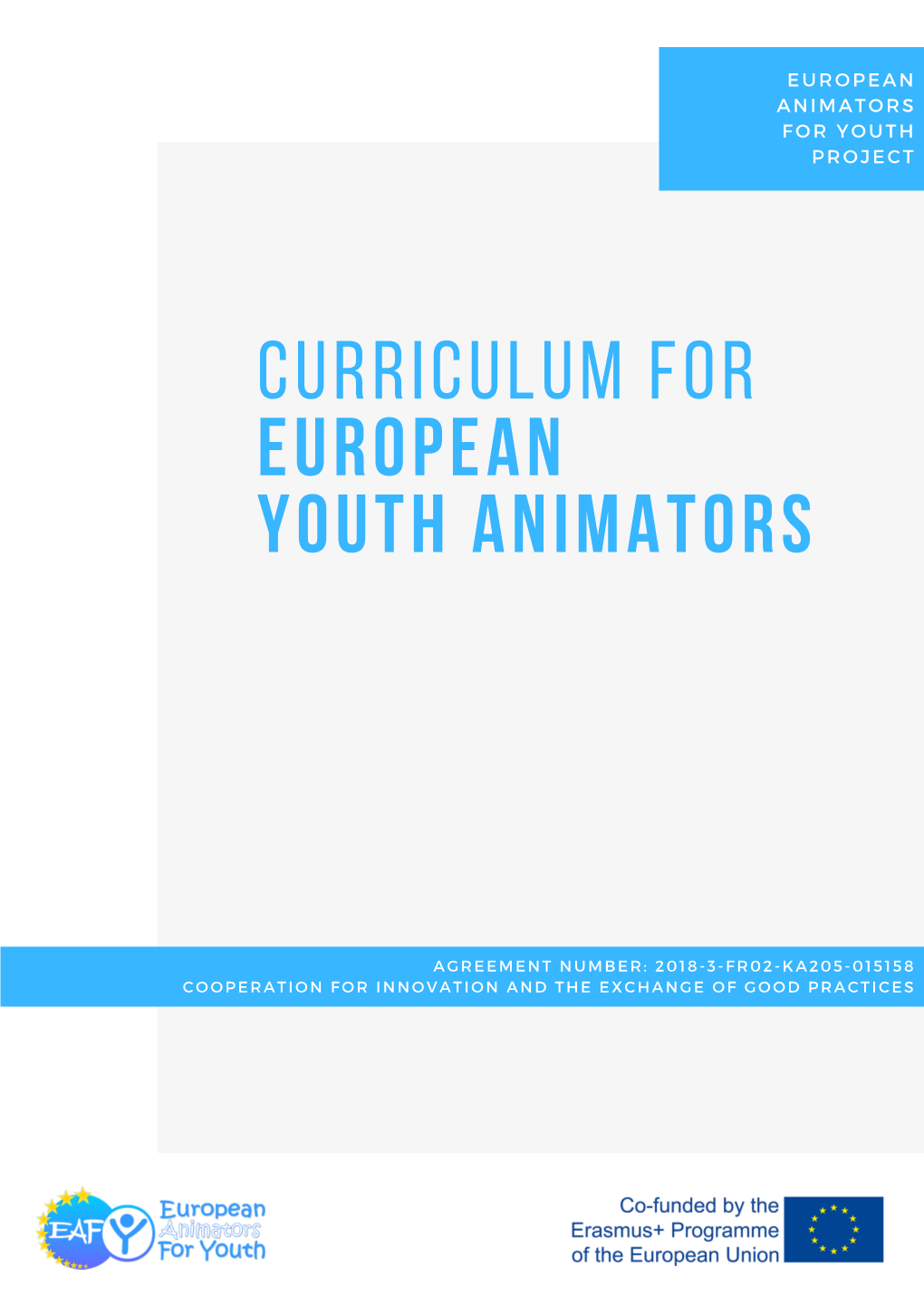 Curriculum for European Youth Animators