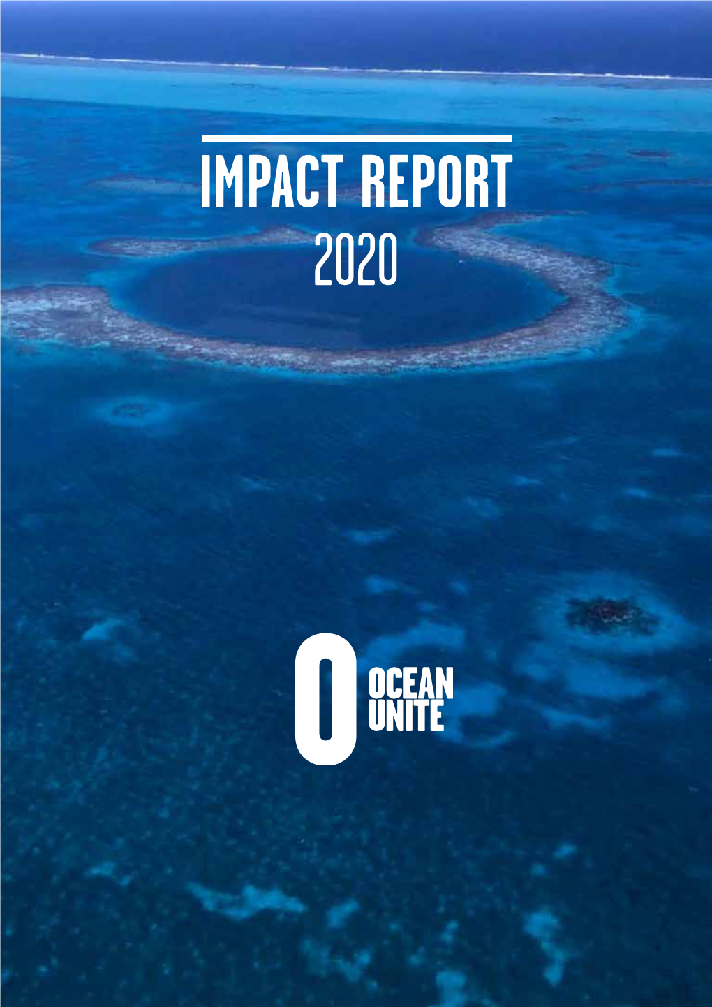 IMPACT REPORT 2020 Contents