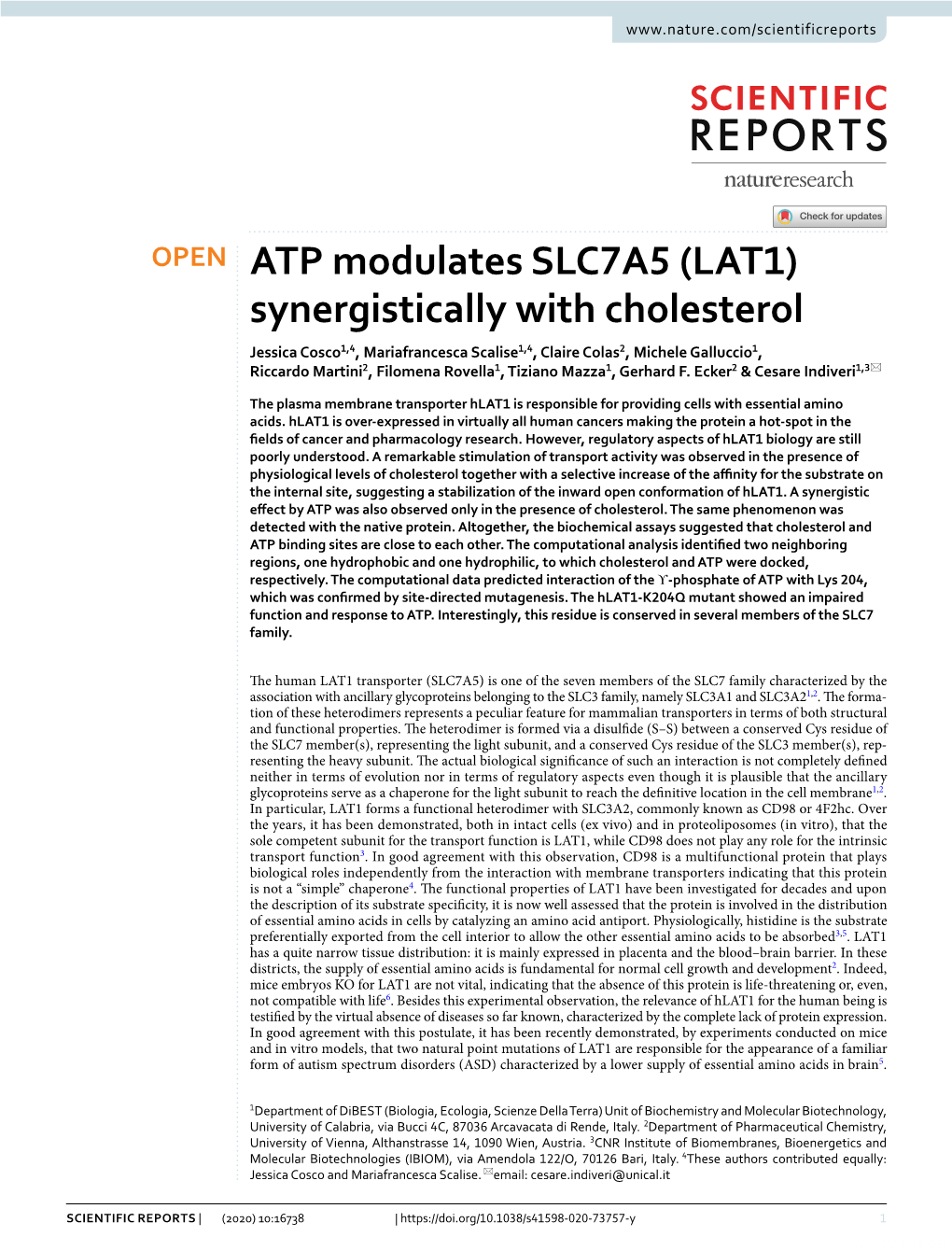 ATP Modulates SLC7A5