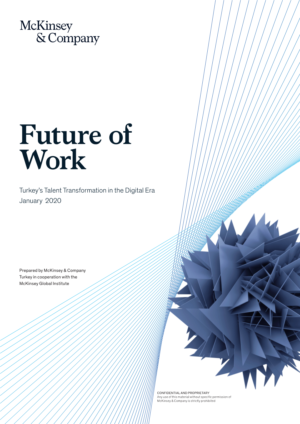 Future of Work Report: Turkey's Talent Transformation