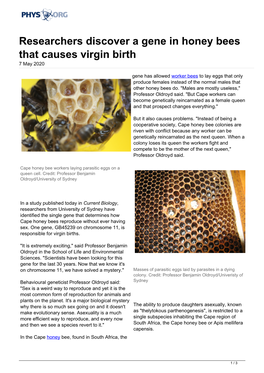 Researchers Discover a Gene in Honey Bees That Causes Virgin Birth 7 May 2020
