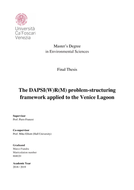 The DAPSI(W)R(M) Problem-Structuring Framework Applied to the Venice Lagoon