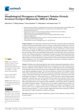 Morphological Divergence of Hermann's Tortoise (Testudo