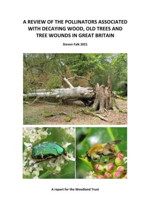 A Review of the Pollinators Associated with Decaying Wood, Old Trees and Tree Wounds in Great Britain