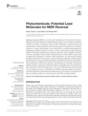Phytochemicals: Potential Lead Molecules for MDR Reversal