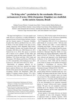 Predation by the Coralsnake Micrurus Surinamensis (Cuvier, 1816) (Serpentes: Elapidae) on a Knifefish in the Eastern Amazon, Brazil