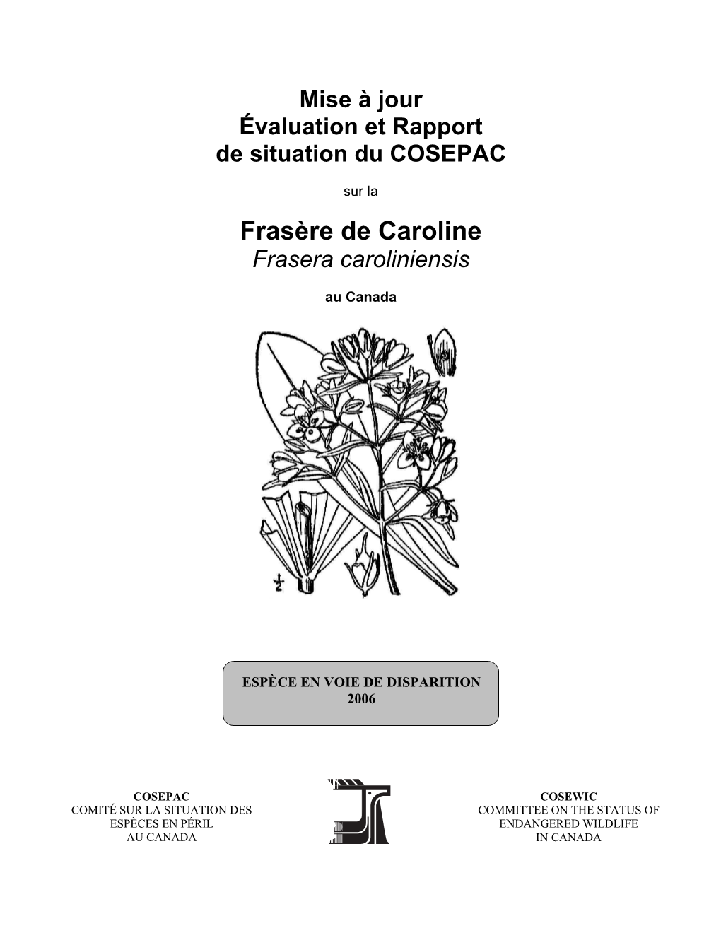 Frasère De Caroline (Frasera Caroliniensis) Au Canada – Mise À Jour