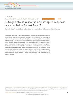 Nitrogen Stress Response and Stringent Response Are Coupled in Escherichia Coli