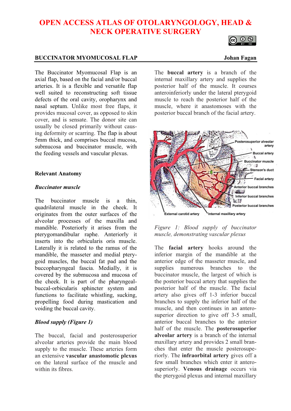 BUCCINATOR MYOMUCOSAL FLAP Johan Fagan