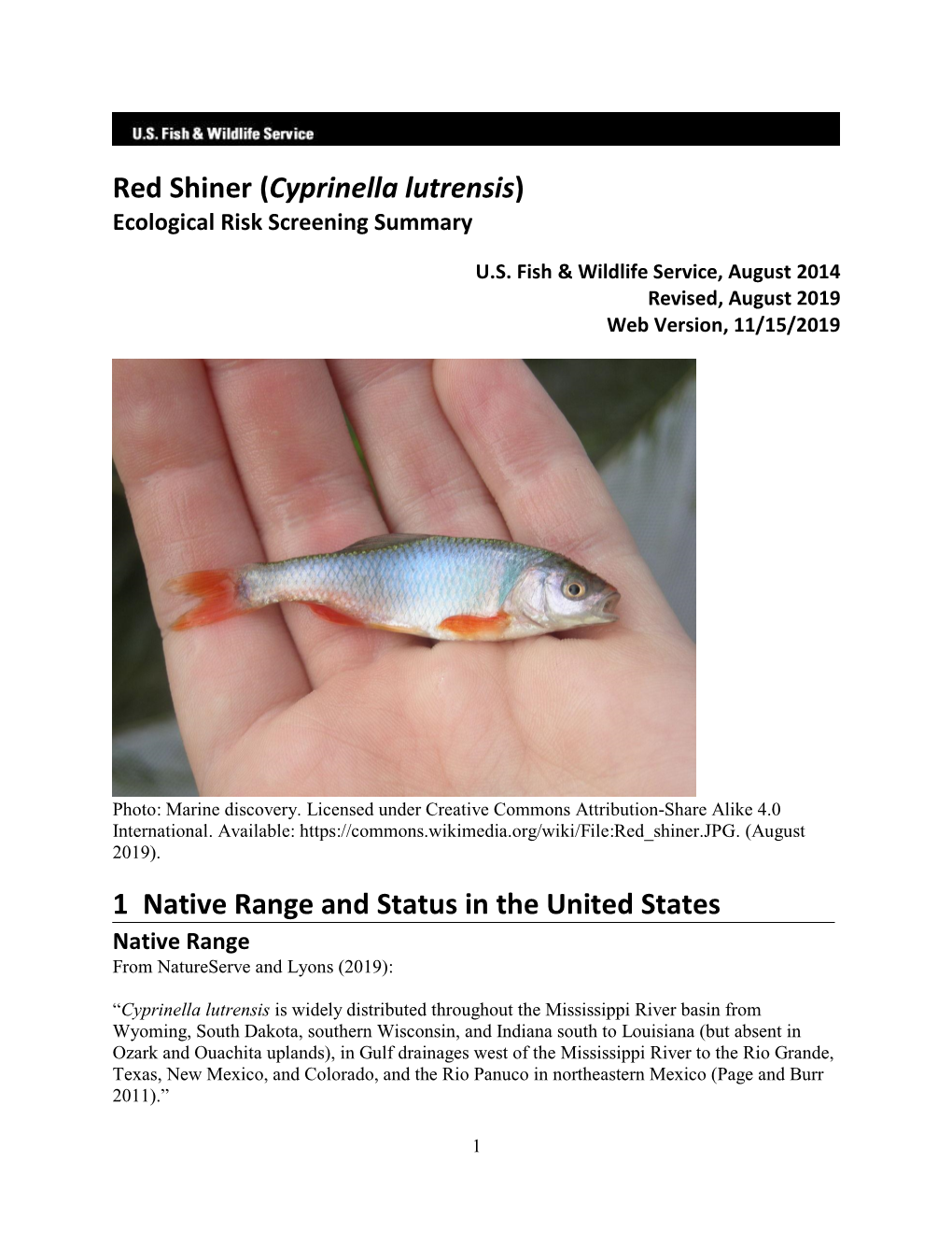 Red Shiner (Cyprinella Lutrensis).”