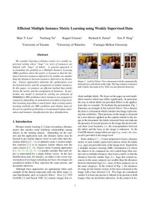Efficient Multiple Instance Metric Learning Using Weakly Supervised