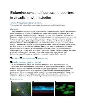 Bioluminescent and Fluorescent Reporters in Circadian Rhythm Studies