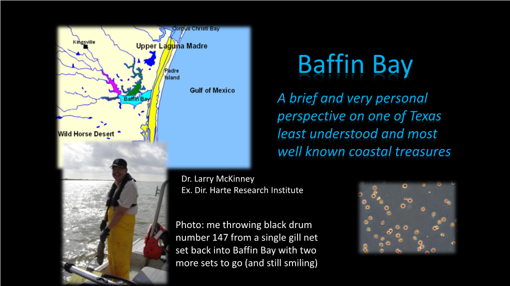 Baffin Bay a Brief and Very Personal Perspective on One of Texas Least Understood and Most Well Known Coastal Treasures