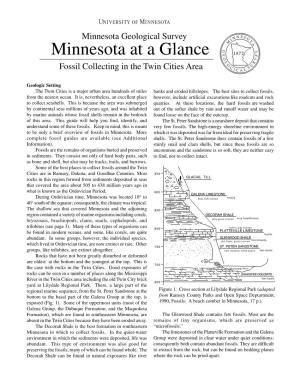Minnesota at a Glance: Fossils of Southern Minnesota