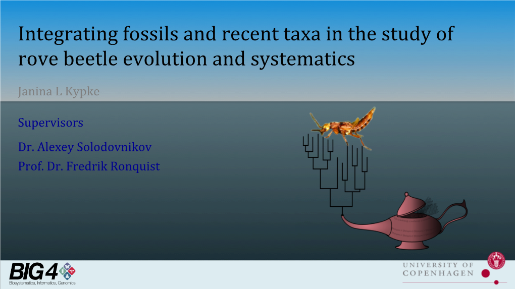 Integrating Fossils and Recent Taxa in the Study of Rove Beetle Evolution and Systematics Janina L Kypke