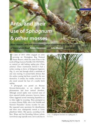 Ants, and Their Use of Sphagnum & Other Mosses