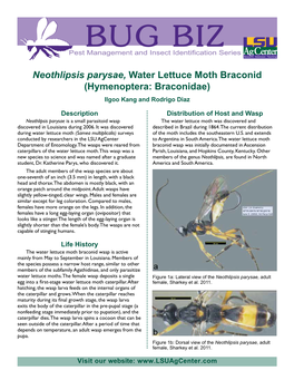 Neothlipsis Parysae, Water Lettuce Moth Braconid (Hymenoptera: Braconidae) Ilgoo Kang and Rodrigo Diaz