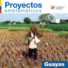 Proyectos-Emblemáticos-Guayas.Pdf