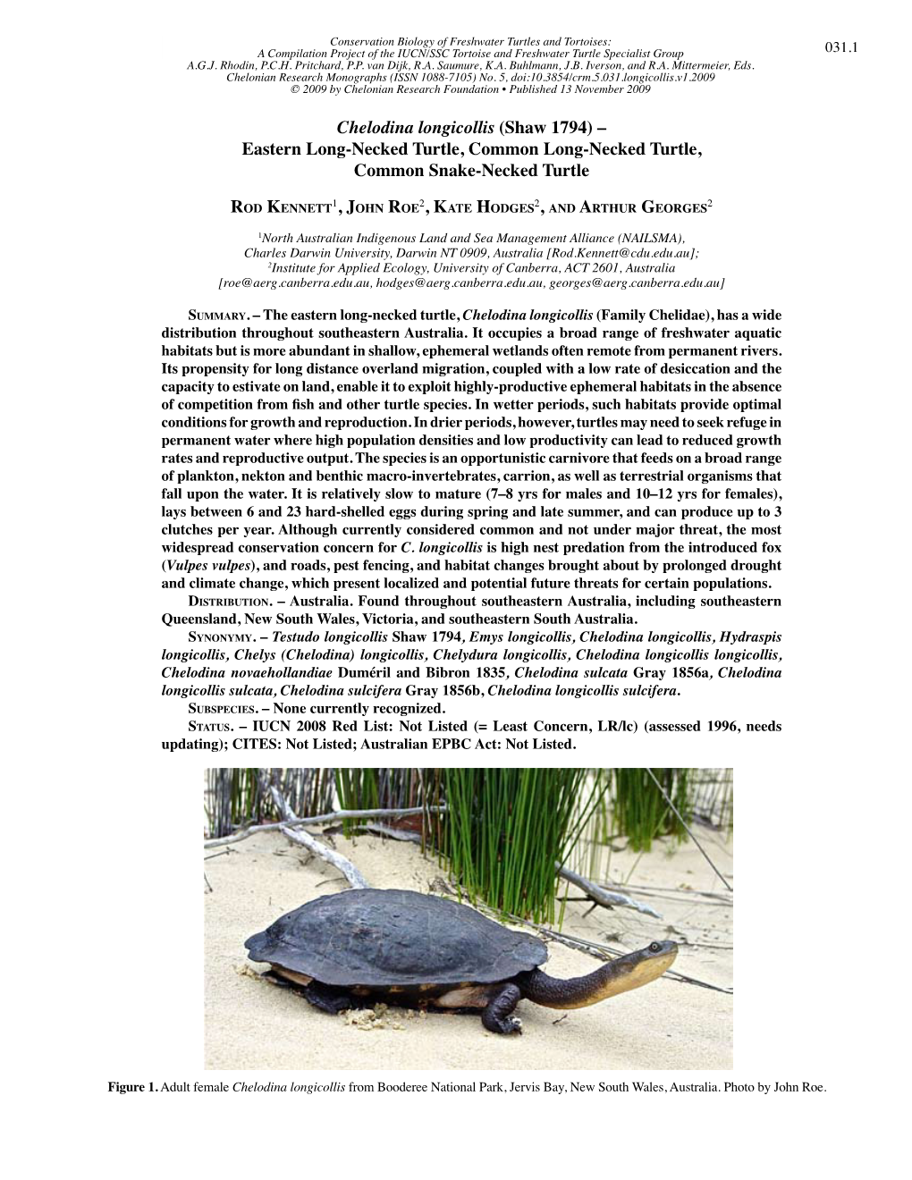 Chelodina Longicollis (Shaw 1794) – Eastern Long-Necked Turtle, Common Long-Necked Turtle, Common Snake-Necked Turtle