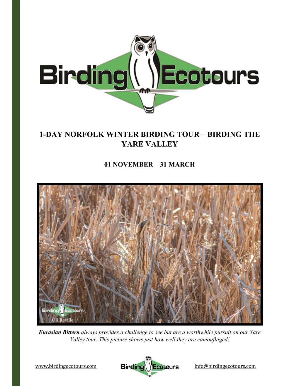 1-Day Norfolk Winter Birding Tour – Birding the Yare Valley