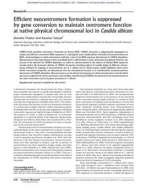 Efficient Neocentromere Formation Is Suppressed by Gene Conversion to Maintain Centromere Function at Native Physical Chromosomal Loci in Candida Albicans