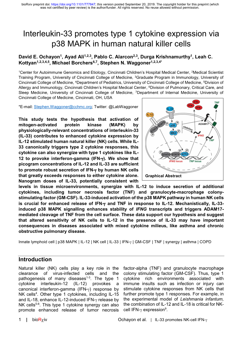 Interleukin-33 Promotes Type 1 Cytokine Expression Via P38 MAPK in Human Natural Killer Cells