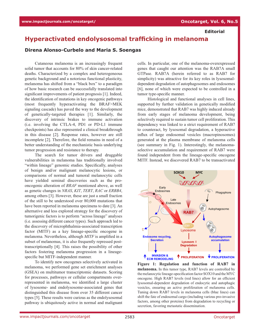 Hyperactivated Endolysosomal Trafficking in Melanoma