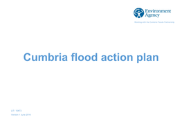 Cumbria Flood Action Plan