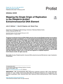 Mapping the Single Origin of Replication in the Naegleria Gruberi