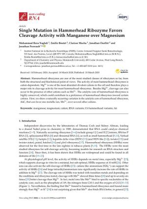 Single Mutation in Hammerhead Ribozyme Favors Cleavage Activity with Manganese Over Magnesium