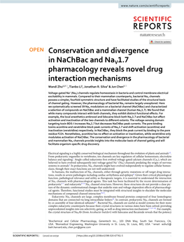 Conservation and Divergence in Nachbac and Nav1.7