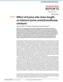 Effect of Lysine Side Chain Length on Histone Lysine Acetyltransferase