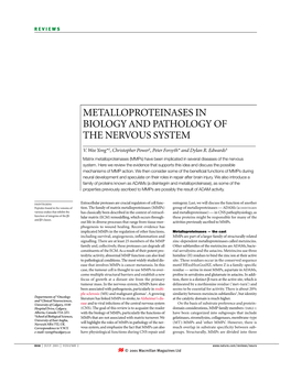 Metalloproteinases in Biology and Pathology of the Nervous System