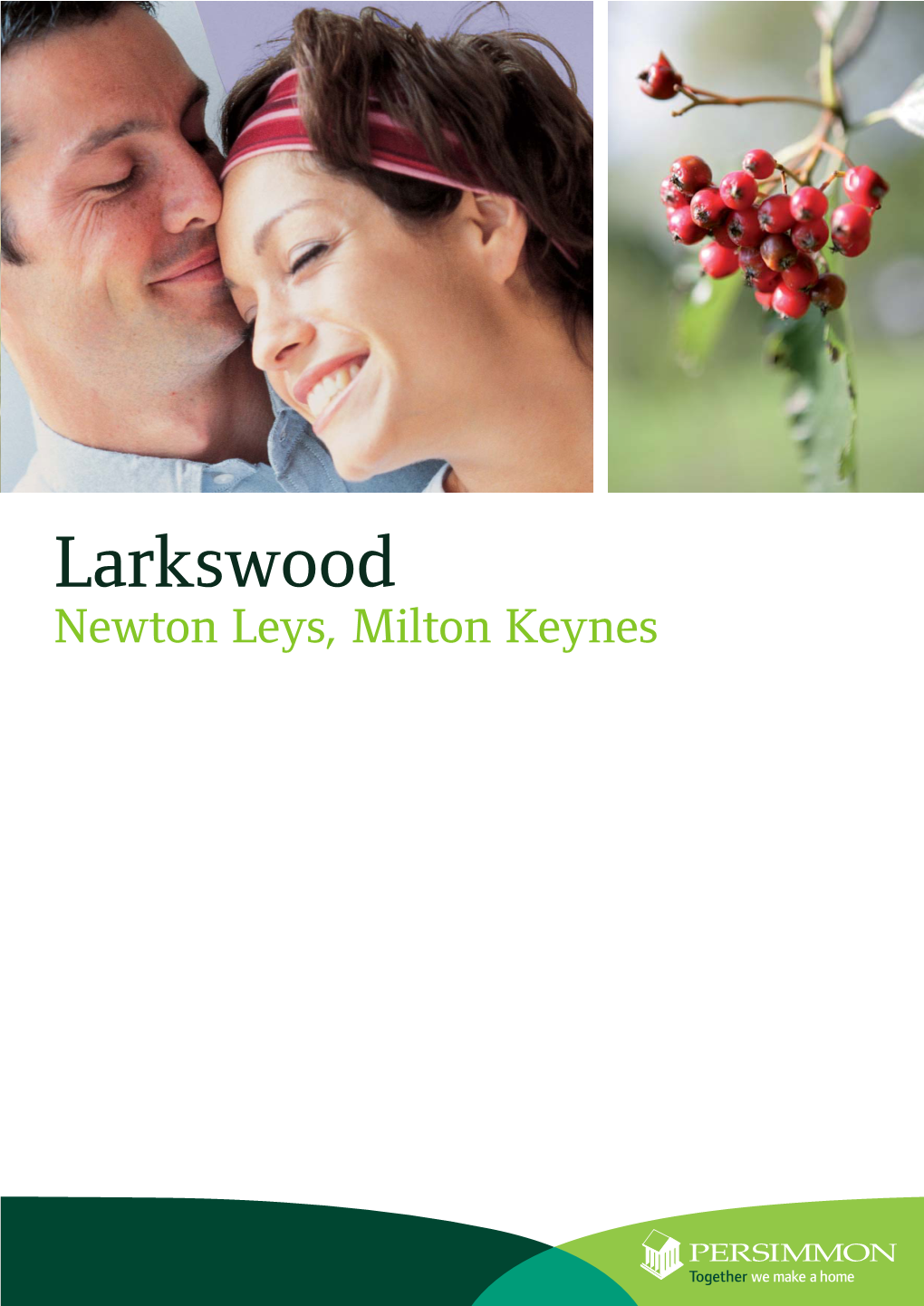 Newton Leys Site Plan