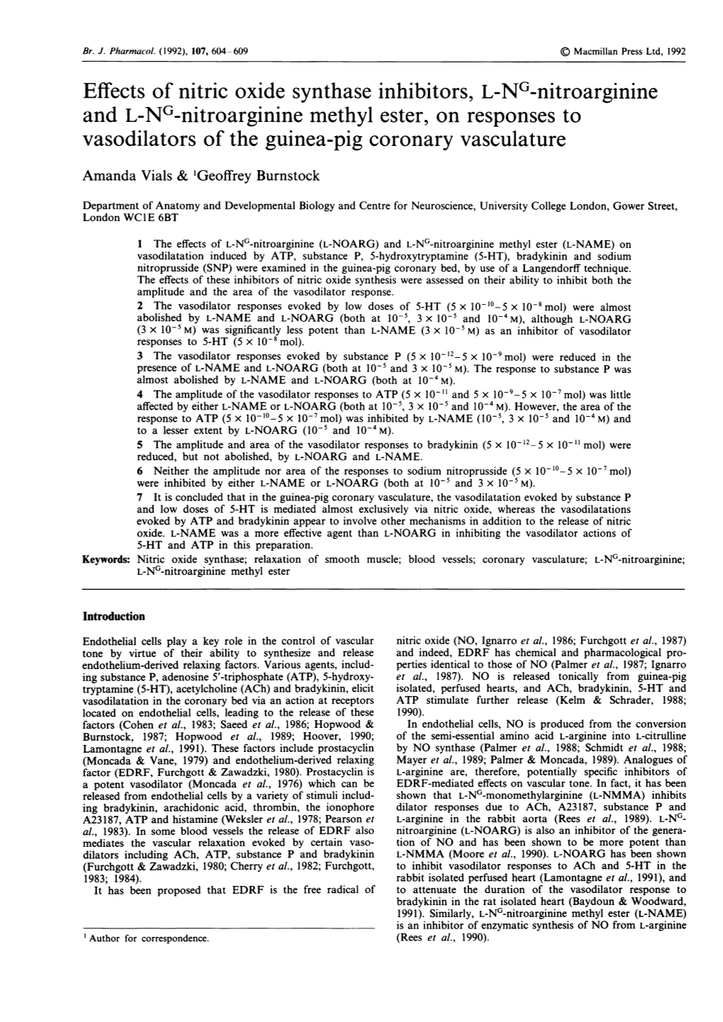 Effects of Nitric Oxide Synthase Inhibitors, L-NG-Nitroarginine