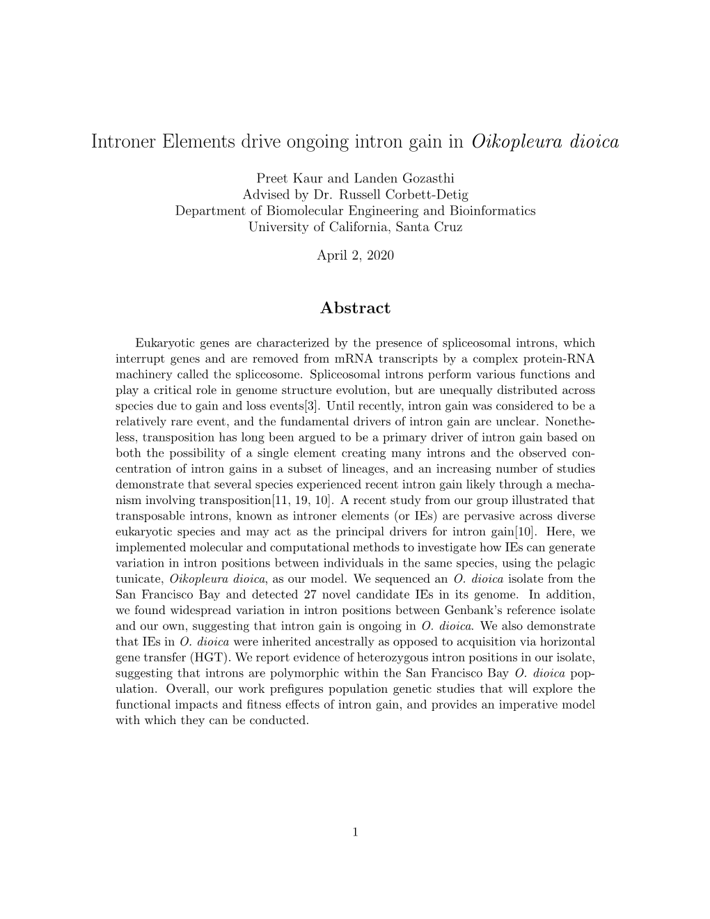 Introner Elements Drive Ongoing Intron Gain in Oikopleura Dioica