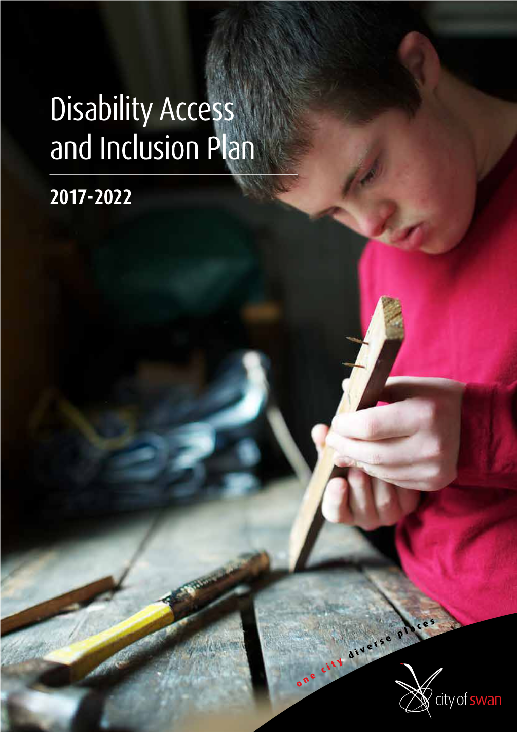 Disability Access and Inclusion Plan 2017 - 2022