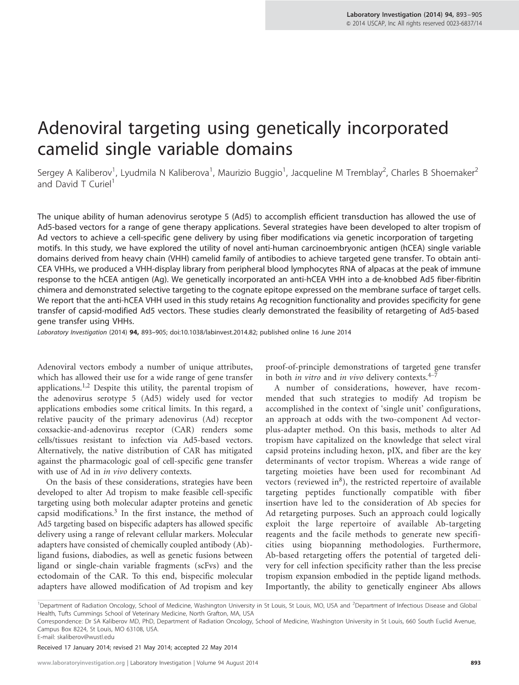 Adenoviral Targeting Using Genetically Incorporated Camelid Single