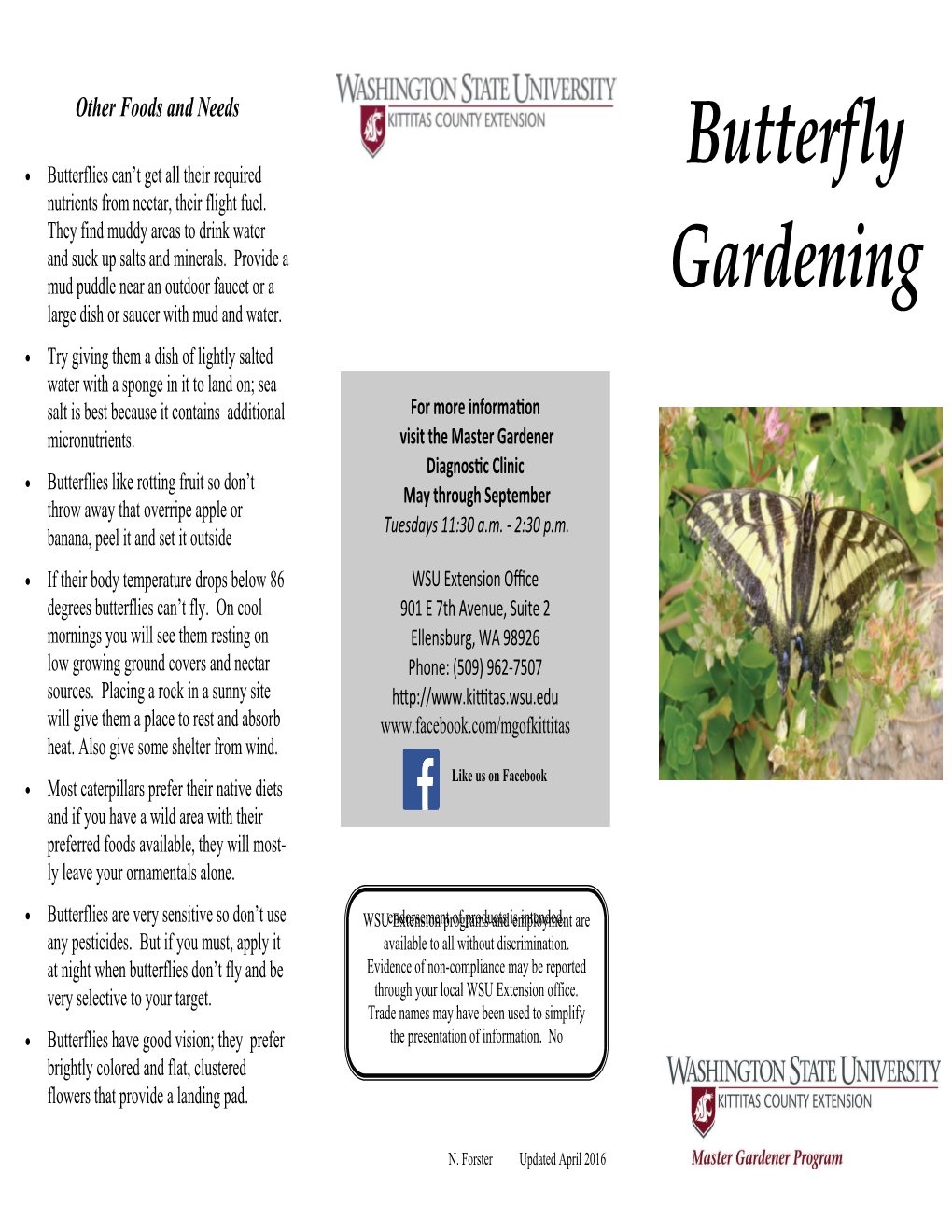 Butterfly Gardening