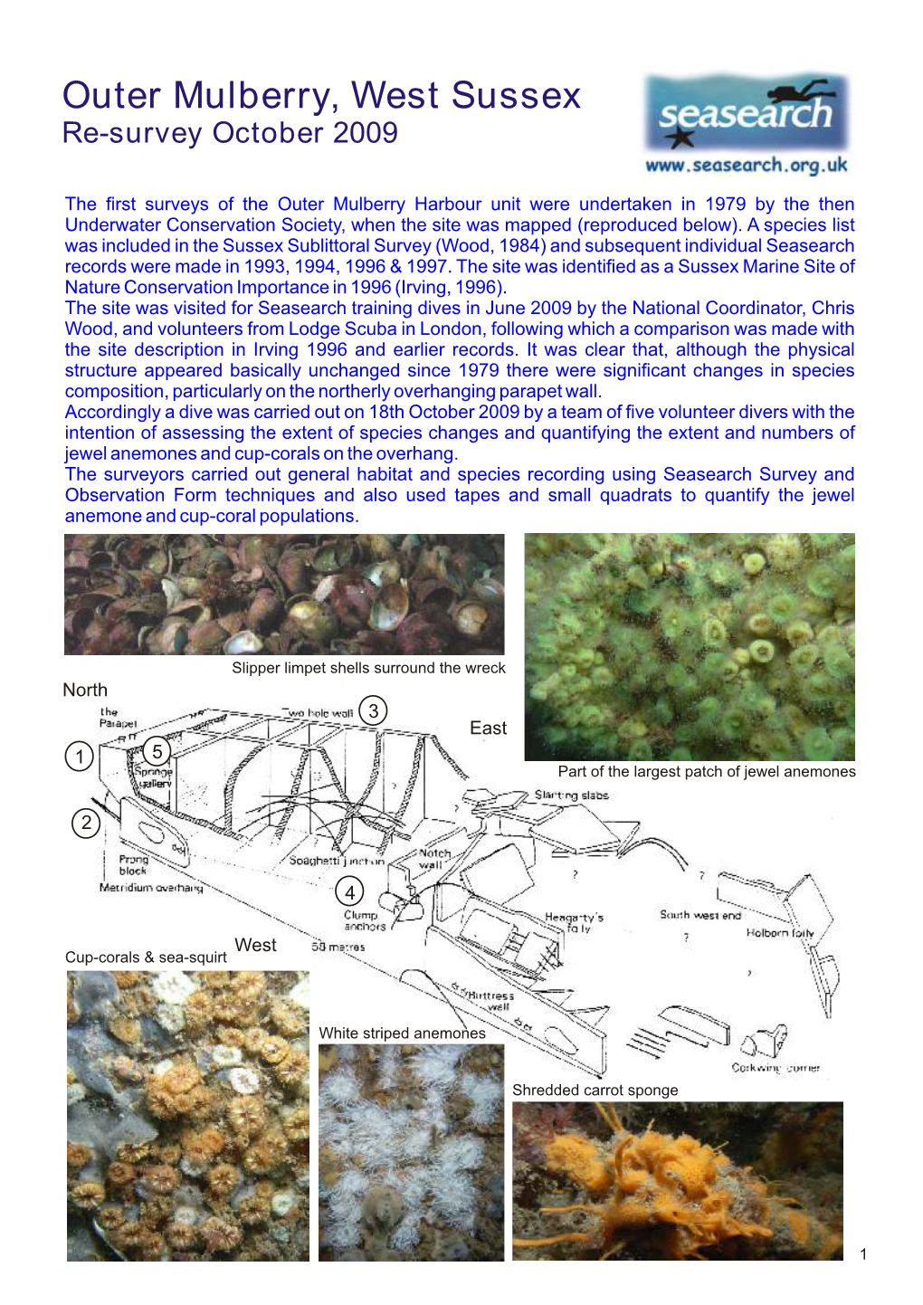 Outer Mulberry, West Sussex Re-Survey October 2009