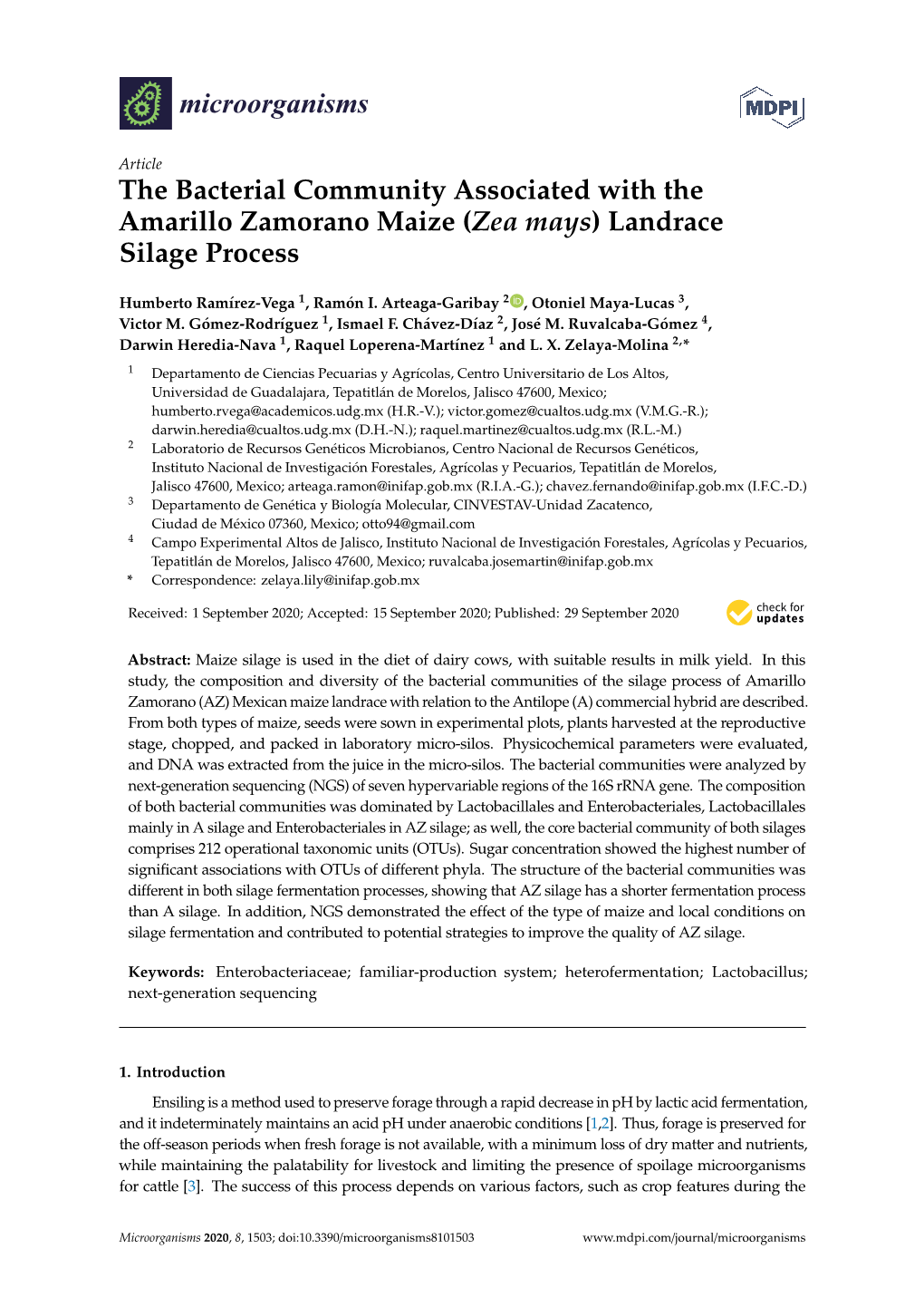 The Bacterial Community Associated with the Amarillo Zamorano Maize (Zea Mays) Landrace Silage Process