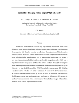 Beam Halo Imaging with a Digital Optical Mask*